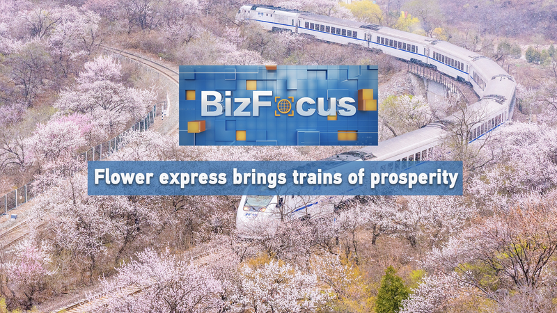 Expreso_de_Flores__Trenes_de_Prosperidad_en_Xi_an video poster