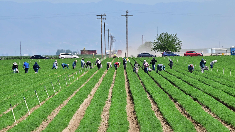 Aranceles sacuden la agricultura de California en medio de la agitación del mercado