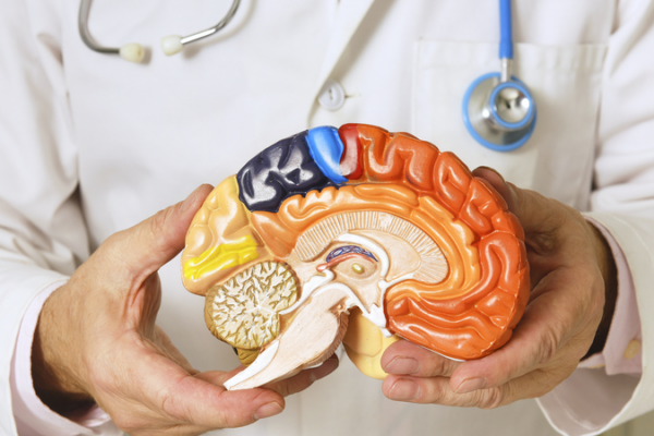 Día Mundial del Parkinson: Una guía rápida sobre la enfermedad Día Mundial del Parkinson: Una guía rápida sobre la enfermedad