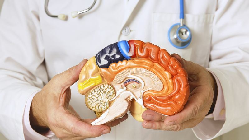 Día Mundial del Parkinson: Una guía rápida sobre la enfermedad