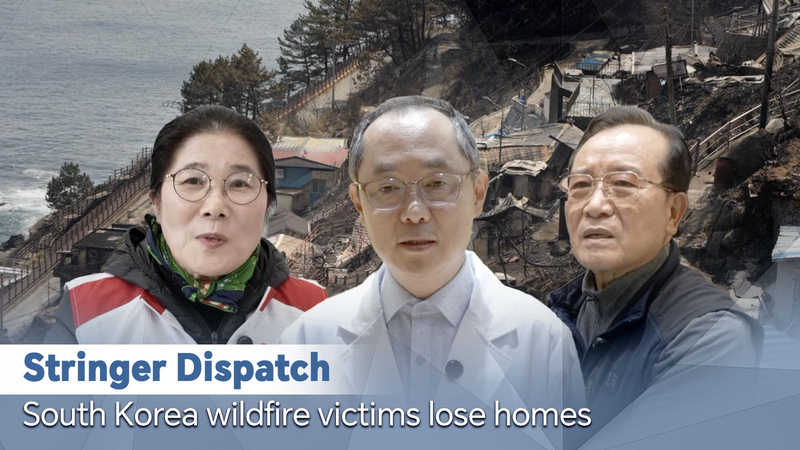 Incendios_forestales_en_Corea_del_Sur__Hogares_perdidos_y_corazones_pesados video poster