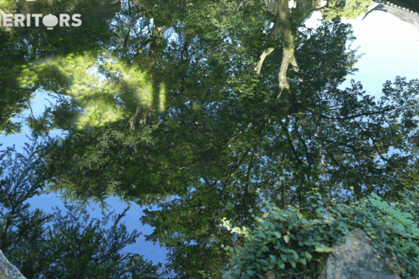 Jardines de Suzhou: Un viaje a la armonía de la naturaleza