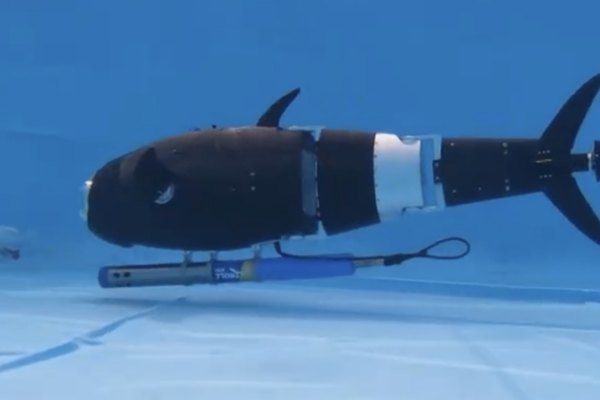 Peces robóticos revolucionan la acuicultura con precisión de IA Peces robóticos revolucionan la acuicultura con precisión de IA