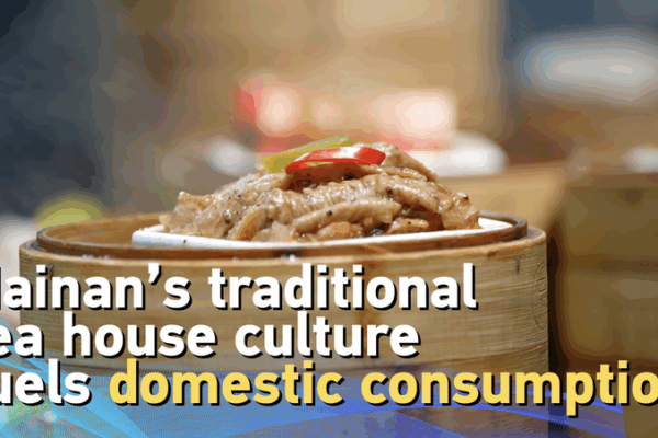 El Renacimiento del Té en Hainan: Tradición en Haikou El Renacimiento del Té en Hainan: Tradición en Haikou video poster