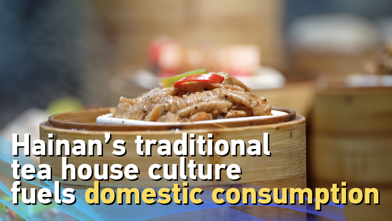 El Renacimiento del Té en Hainan: Tradición en Haikou video poster