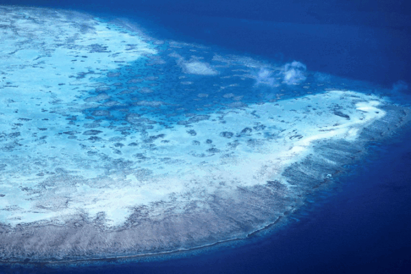 La Gran Barrera de Coral enfrenta su sexto blanqueamiento masivo La_Gran_Barrera_de_Coral_enfrenta_su_sexto_blanqueamiento_masivo