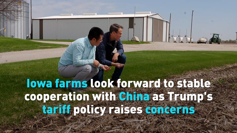 Las granjas de Iowa esperan un comercio estable con la China continental Las_granjas_de_Iowa_esperan_un_comercio_estable_con_la_China_continental video poster