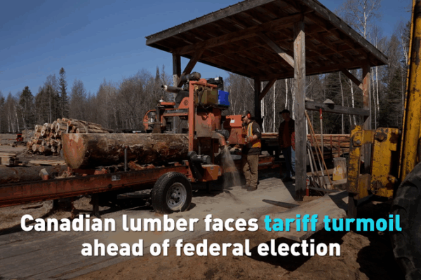 Las tensiones arancelarias afectan la madera canadiense antes de las elecciones Las_tensiones_arancelarias_afectan_la_madera_canadiense_antes_de_las_elecciones