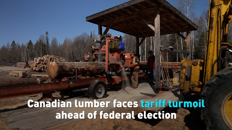 Las_tensiones_arancelarias_afectan_la_madera_canadiense_antes_de_las_elecciones