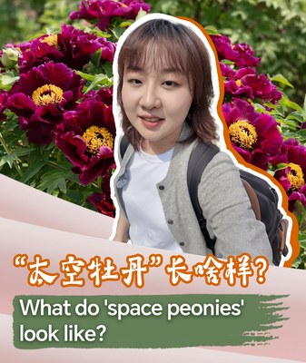 Peonías Espaciales: De Semillas Cósmicas a Maravillas Florales video poster