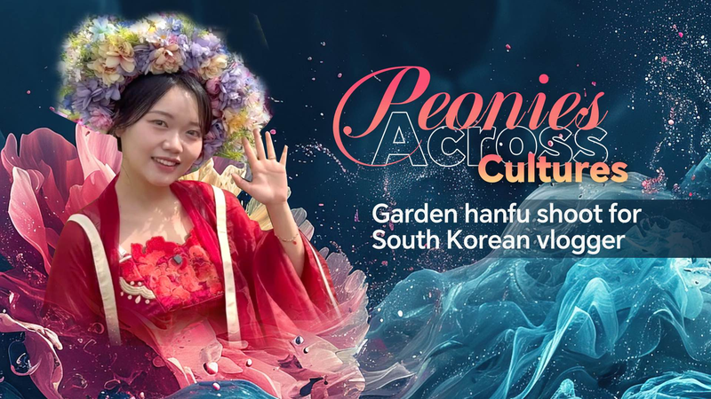 Flores de Peonía y Hanfu: Vlogger Explora el Esplendor Cultural Flores de Peonía y Hanfu: Vlogger Explora el Esplendor Cultural video poster