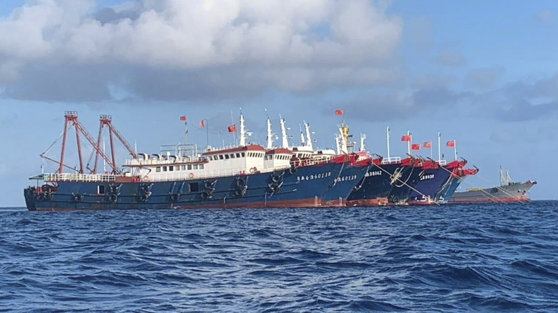 Primer_Informe_de_Arrecifes_de_Coral_de_China__Tiexian_Jiao_Declina__Niu_e_Jiao_Prosper