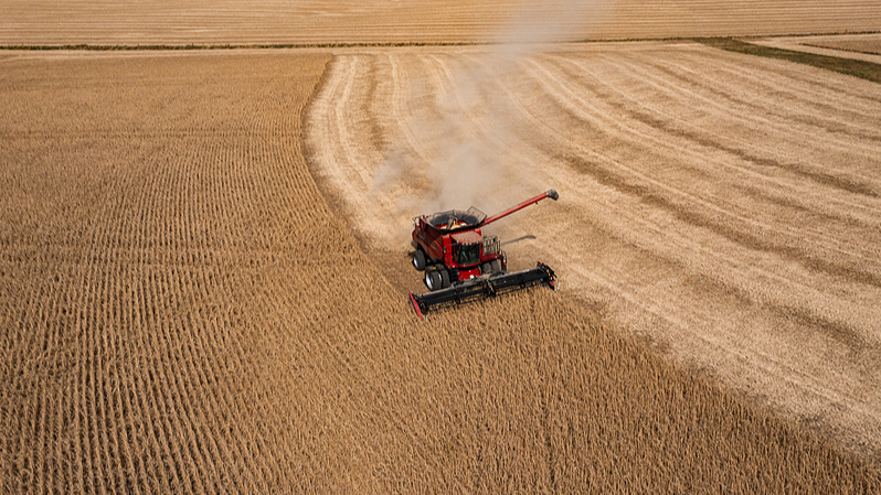 Productor de soya de Kentucky insta a Trump a acabar con la guerra comercial Productor_de_soya_de_Kentucky_insta_a_Trump_a_acabar_con_la_guerra_comercial