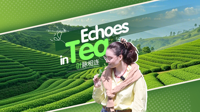 Ecos de Té: Uniendo Oriente y Occidente video poster