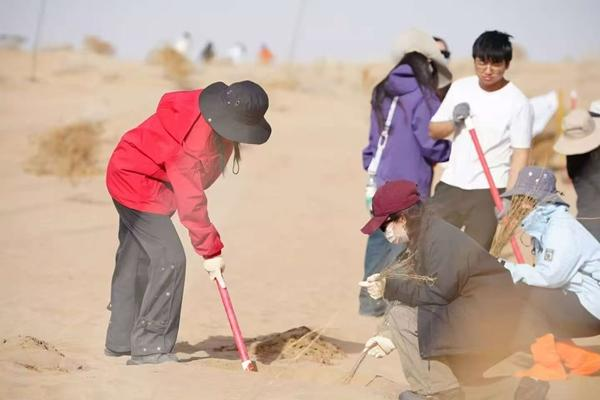 La búsqueda de 1,500 KM de la Gen-Z: Reverdeciendo el desierto de Gansu