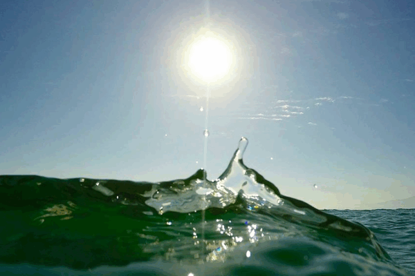 Las olas de calor marinas se triplicaron en 80 años Las olas de calor marinas se triplicaron en 80 años