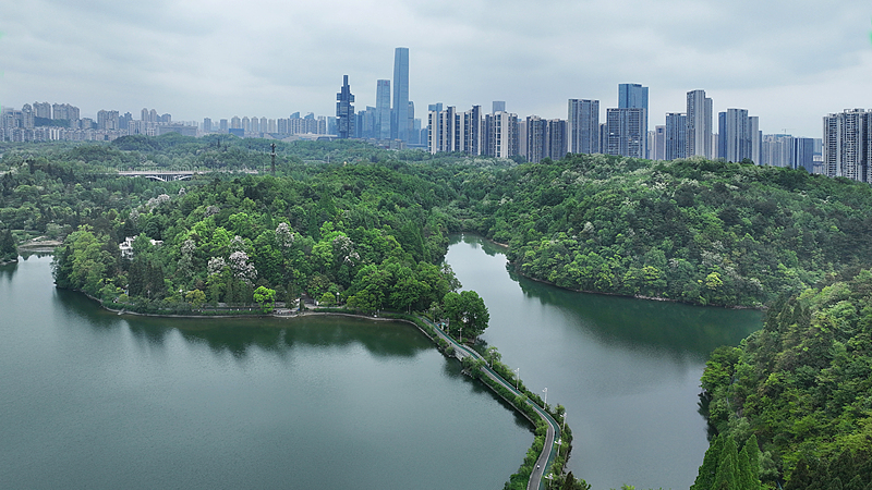 China revela un borrador de código ambiental para un futuro más verde