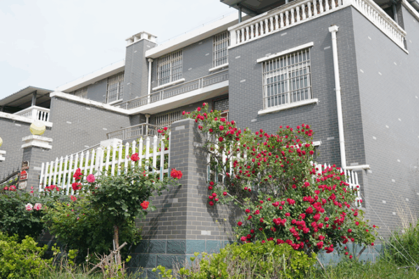 La aldea Madu brilla: renacimiento rural a lo largo del río Amarillo