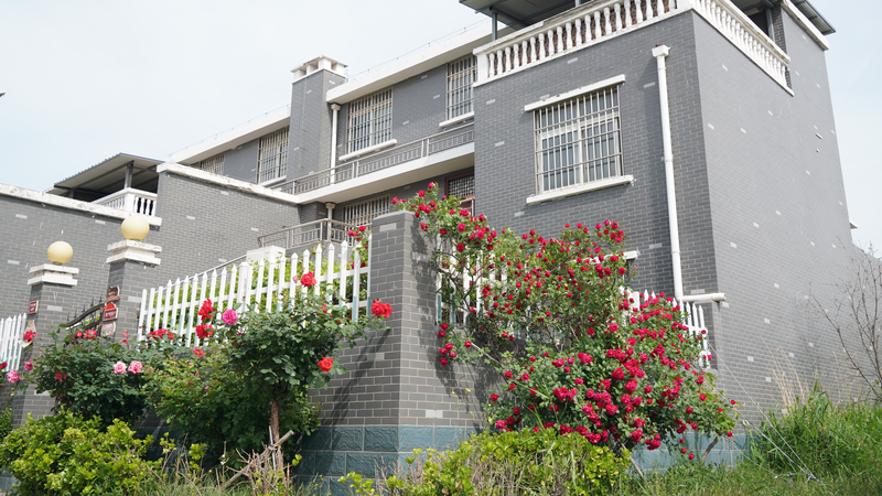 La aldea Madu brilla: renacimiento rural a lo largo del río Amarillo