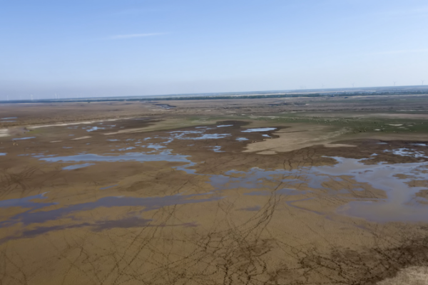 Humedales de Tiaozini: Un paraíso de aves en armonía Humedales de Tiaozini: Un paraíso de aves en armonía