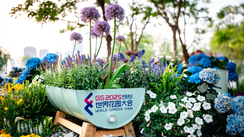 Wuhan Florece: La Exposición Mundial de Jardines 2025 Abre Pronto