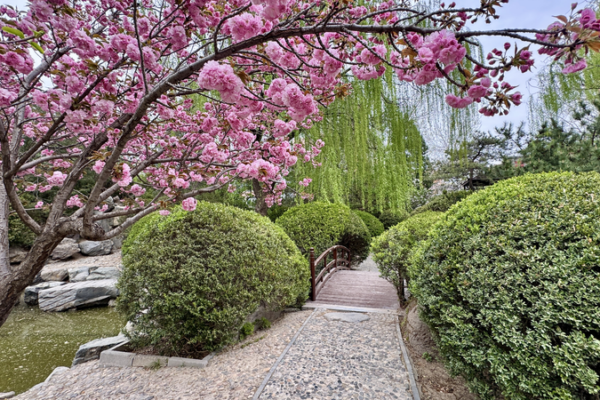 Parque Shuangxiu de Beijing: Fusión de Artes de Jardinería video poster