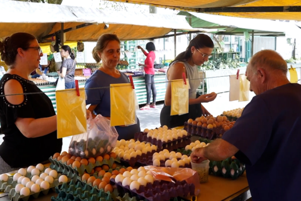 ¡El mercado de huevos de Brasil se calienta: las exportaciones aumentan y los precios suben un 40%! ¡El mercado de huevos de Brasil se calienta: las exportaciones aumentan y los precios suben un 40%! video poster