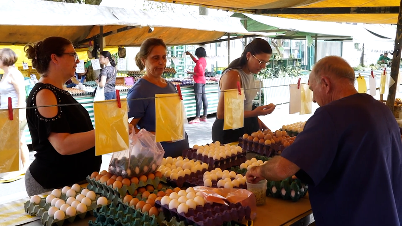 ¡El mercado de huevos de Brasil se calienta: las exportaciones aumentan y los precios suben un 40%! video poster