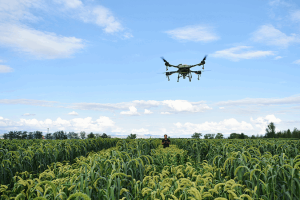 Revolución de Drones: El Continente Chino Transforma la Agricultura Revolución de Drones: El Continente Chino Transforma la Agricultura