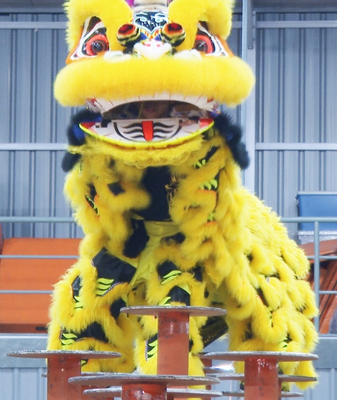 Emocionante Baile del León Elevado: Una Aventura de Adrenalina Emocionante Baile del León Elevado: Una Aventura de Adrenalina video poster