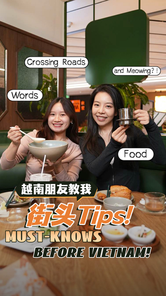 Vietnam_101__Consejos_internos_sobre_comida__frases_y_vida_callejera video poster