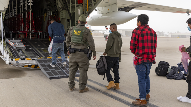 La Represión Migratoria Detiene la Prevención de la Gripe Aviar