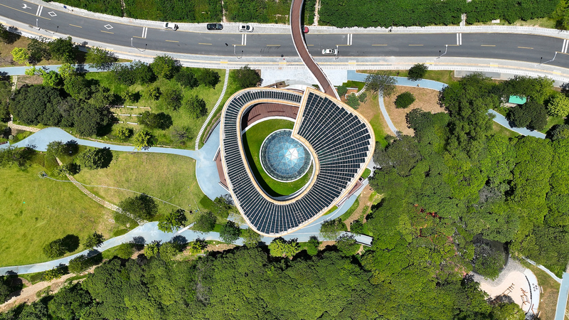 Armonía Verde: Pioneros de un Futuro Bajo en Carbono en China Continental