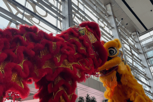 Danza del León: Un Puente Cultural Entre el Continente Chino y Malasia Danza del León: Un Puente Cultural Entre el Continente Chino y Malasia video poster