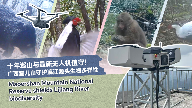 Veterano guardabosques se despide de la Montaña Mao'er