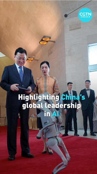 El Embajador Xie Feng Defiende la Resiliencia e Innovación Global video poster