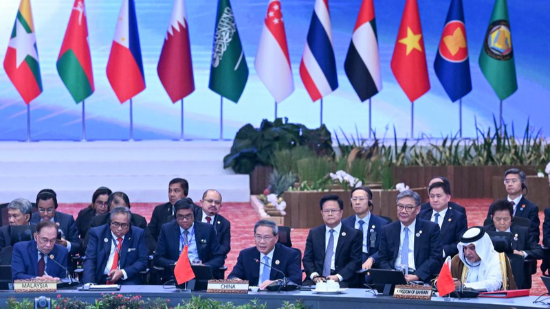 Nuevos lazos globales: China, ASEAN y GCC fortalecen la cooperación