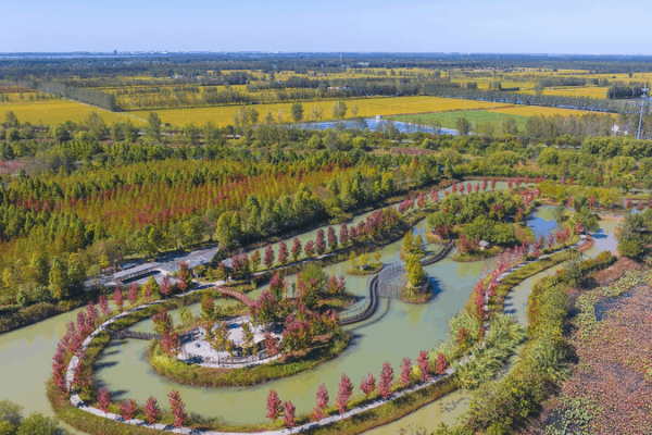 El viaje verde de China de 20 años: 903 parques nacionales de humedales El viaje verde de China de 20 años: 903 parques nacionales de humedales