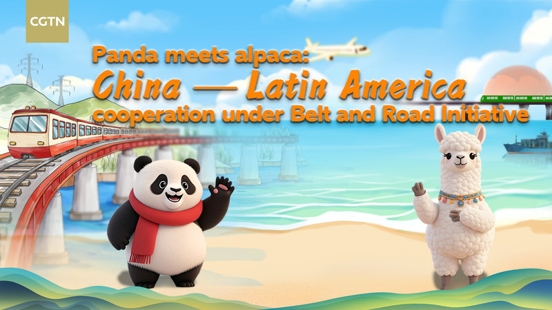 El panda conoce a la alpaca: 10 años de cooperación entre China y América Latina video poster