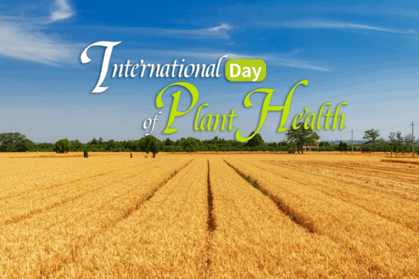 Celebración Global por la Salud Vegetal Celebración Global por la Salud Vegetal