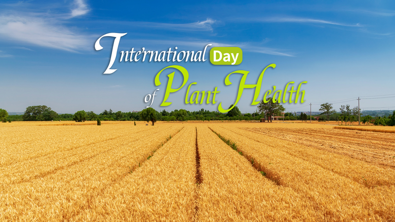 Celebración Global por la Salud Vegetal