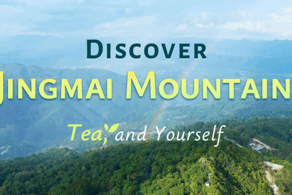 Descubre la Montaña Jingmai: Un Viaje Intemporal de Té Descubre la Montaña Jingmai: Un Viaje Intemporal de Té video poster