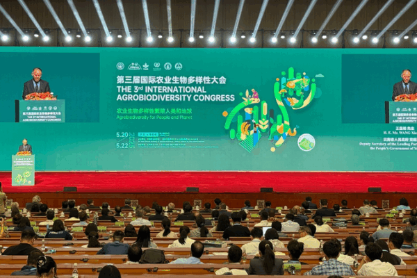 Expertos Globales se Reúnen en Kunming para Impulsar la Agrobiodiversidad Expertos Globales se Reúnen en Kunming para Impulsar la Agrobiodiversidad