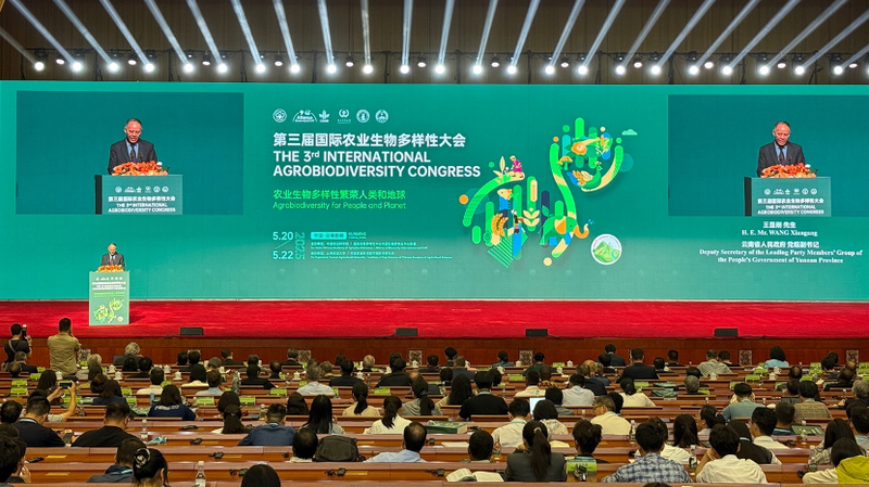 Expertos Globales se Reúnen en Kunming para Impulsar la Agrobiodiversidad