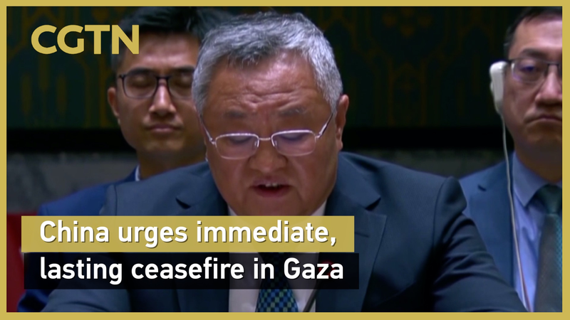 China_insta_un_alto_al_fuego_inmediato_en_la_crisis_de_Gaza video poster