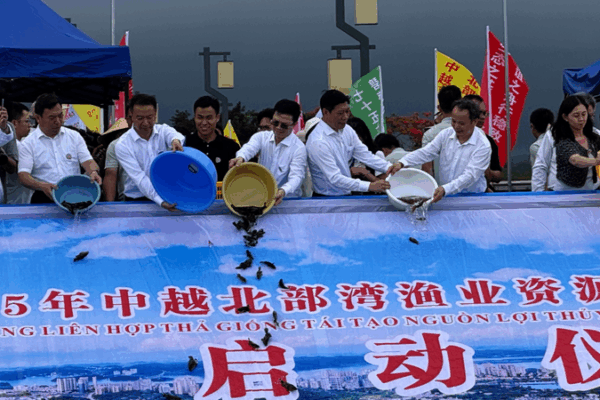 China_y_Vietnam_Unidos_para_Revivir_los_Ecosistemas_del_Golfo_de_Beibu video poster