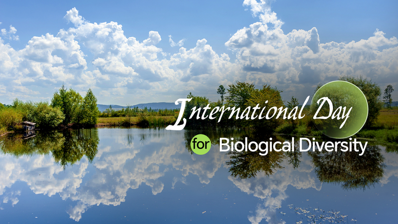 Innovaciones tecnológicas impulsan la conservación global de la biodiversidad