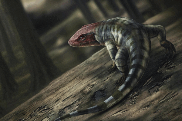 Las huellas de reptiles antiguos redefinen la evolución terrestre
