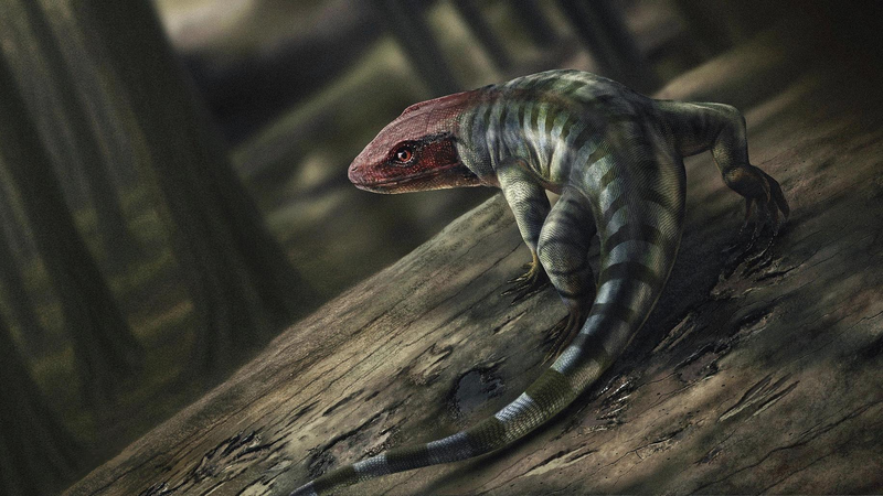 Las huellas de reptiles antiguos redefinen la evolución terrestre