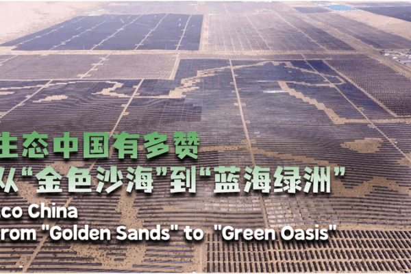 Eco China: De arenas doradas a un oasis verde Eco_China__De_arenas_doradas_a_un_oasis_verde video poster